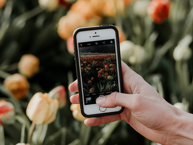 Why Should You Make Your Account more Accessible